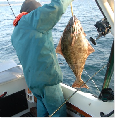 DSC_0126halibut